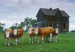 AGPix davereede 0268