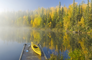 AGPix davereede 8963 