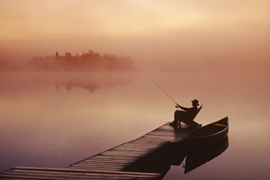 AGPix davereede 9036