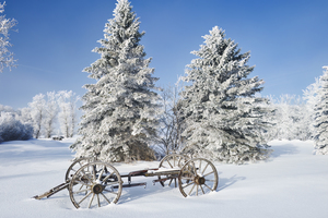old wagon on a frosty day