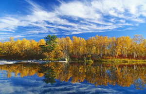 Autumn Along River