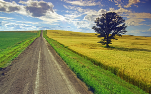 Country Road