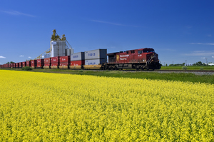 DR 0698