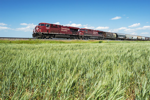 train passes a spring wheat field