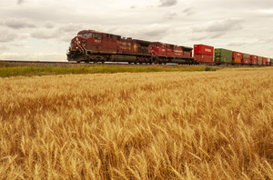 train carrying shipping containers passes a wheat field