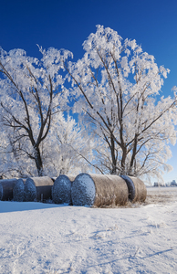 DR 14942
