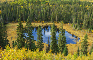 Boggy Lake