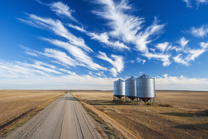 Backroad With Bins on the Side