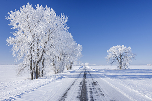 Backroad on a Frosty Afternoon