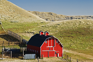 Barn in the Badlands