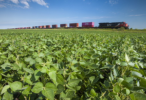 Locomotive Pulling Containers That Stretch to the Horizon