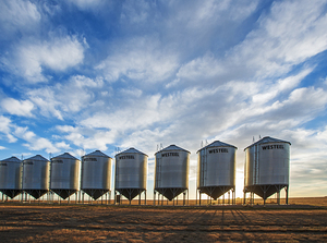 Grain Storage Bins at Sunrise
