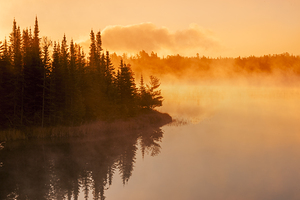 Misty Morning