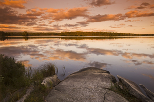 Bunny Lake