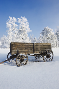 old wagon in the hoarfrost