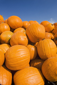 Pumpkins