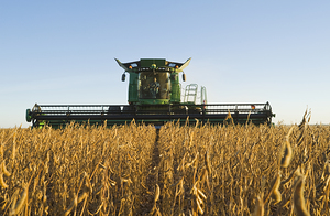 Harvesting Soybeans