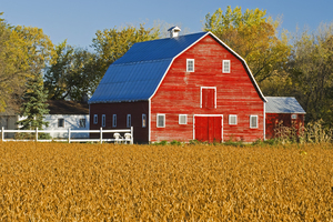 Red Barn 