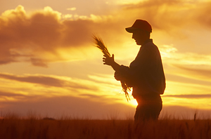 Young Farmer