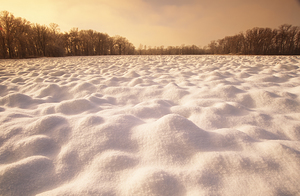  Patterns on Plowed Farmland