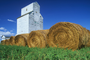 Alfalfa Bales in Front of Abandoned Grain Elevator