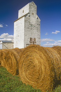 alfalfa bales in front of old grain elevator