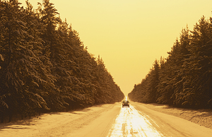 Wnter Road