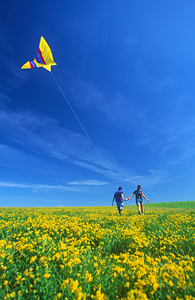 Running With the Kite