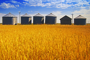 Old Grain Bins