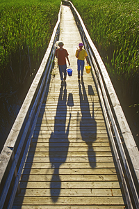 A Day of Catching Marsh Life