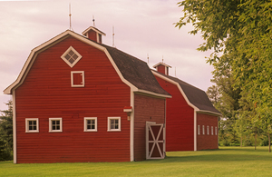 Red Barns