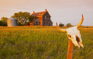 abandoned farm house