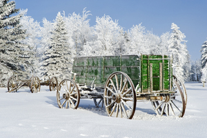 Wagon on a Frosty Day