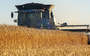 Getting the Harvest Done