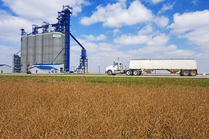 Hauling Crop