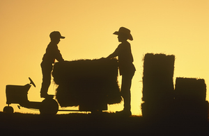 Farm Children