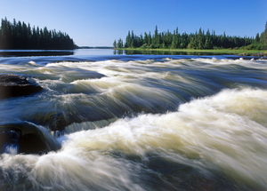 Northern River