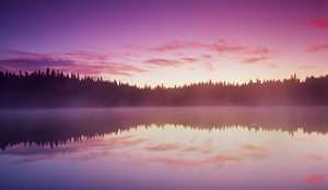 Perch Lake