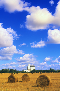 Prairie Sky