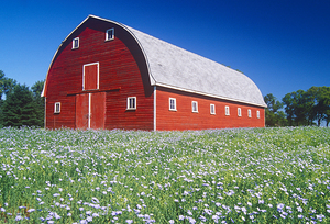 Red Barn