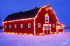 Red Barn  winter