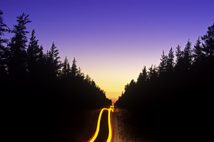 Road Through Forest