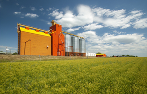 flax field and and grain elevator