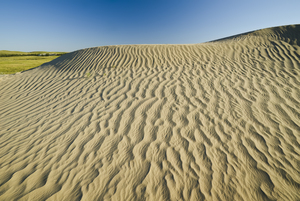 the Great Sandhills