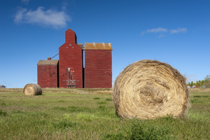 field with round hay bales and old grain elevator