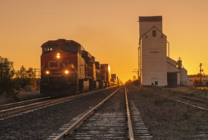 Train Passing a Grain Elevator