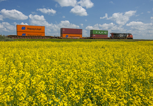 rail cars carrying containers