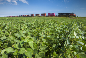 locomotives pulling  shipping containers