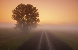 Early Morning On a Country Backroad