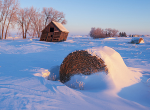 Open Prairie